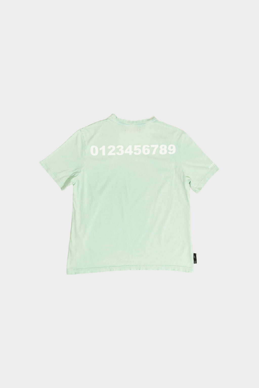 T2 T-SHIRT MINT PRINT